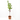NECTARINO 10L RESIDUO CERO VERDECORA