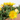 MESSEM JARDINERA 25CM