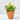 BIDENS