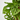 MONSTERA MONKEY MACETA 16CM