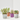 CACTUS Y CRASAS ESPECIALES M-6.5