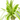 DRACENA LEMON LIME MACETA 5 LITROS Maceta 20cm