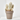 CACTUS COLUMNAR MACETA 20CM