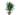 PALMERA YUCCA EXTERIOR MACETA 5 LITROS