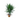 PALMERA YUCCA EXTERIOR MACETA 5 LITROS