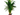 Areca Planta verde de interior