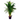 Areca Planta verde de interior
