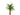 Areca Planta verde de interior