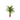 Areca Planta verde de interior