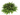 Helecho - Planta online Verdecora