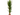 YUCCA - Verdecora