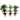 DRACENA VARIEDADES M-12