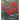 Nandina arbusto ornamental de exterior