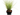 GRAMINEA