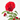 ROSAL CRAZY IN LOVE ROJO