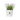MACETA GREENVILLE ROUND BLANCA D16XH15CM Diámetro 16cm - Altura 15cm -