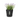 MACETA GREENVILLE ROUND NEGRA D25XH23CM Diámetro 25cm - Altura 23cm -