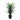 YUCA ARTIFICIAL 75CM EXTERIOR