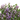 LAVANDA ARTIFICIAL PLANCHA VERTICAL 50X50CM