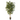 ARBOL ACACIA ARTIFICIAL 180CM