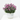 CLAVEL MACETA TARRINA 3.6 LITROS