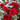RED ANGEL (24 ROSAS + EUCALIPTO)