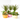 COMPOSICIÓN PLANTAS CON BASE CERÁMICA