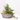 COMPOSICIÓN PLANTAS CON BASE ZINC D22 H30