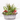 COMPOSICIÓN PLANTAS CON BASE ZINC D32 H50
