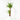 YUCCA MACETA 18CM
