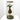 GINSENG KOKEDAMA SUSPENDIDO