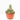 CACTUS MIX TARRINA 20CM