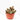 CACTUS MIX TARRINA 20CM