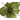 MAGNOLIA ARTIFICIAL VERDE 26CM CLIP
