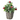 PLANTA ARTIFICIAL FRUTOS ROJOS 21CM MIMBRE