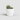 CUBRE NUBIA CACTUS BLANCO D9XH7CM