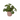 CUBRE VIBES DELICATE PINK D18.34XH17CM