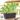 JARDINERA SAVE ANTRACITA 49X17X17CM