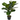 FICUS LYRATA ARTIFICIAL