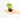PHILODENDRON WHITE MEASURE MACETA 6CM