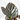 CALATHEA ORNATA SANDERIANA MACETA 12CM