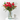 RAMO RED LOVE
