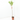 NECTARINO 10L