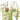 ROSAL RAMBRER 7.5L