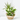COMPOSICION PLANTAS TONOS BLANCOS BASE YUTE D21