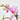 COMPO PLANTAS TONOS ROSAS/ORQUIDEA B/YUTE D21