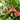 COMPOSICION PLANTAS BASE CERAMICA GRIS D22