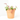 ACALYPHA 15X15
