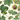 TREES AND LEAVES CREAM SERVILLETA