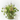 RAMO CESTO VERDE CON FLORES